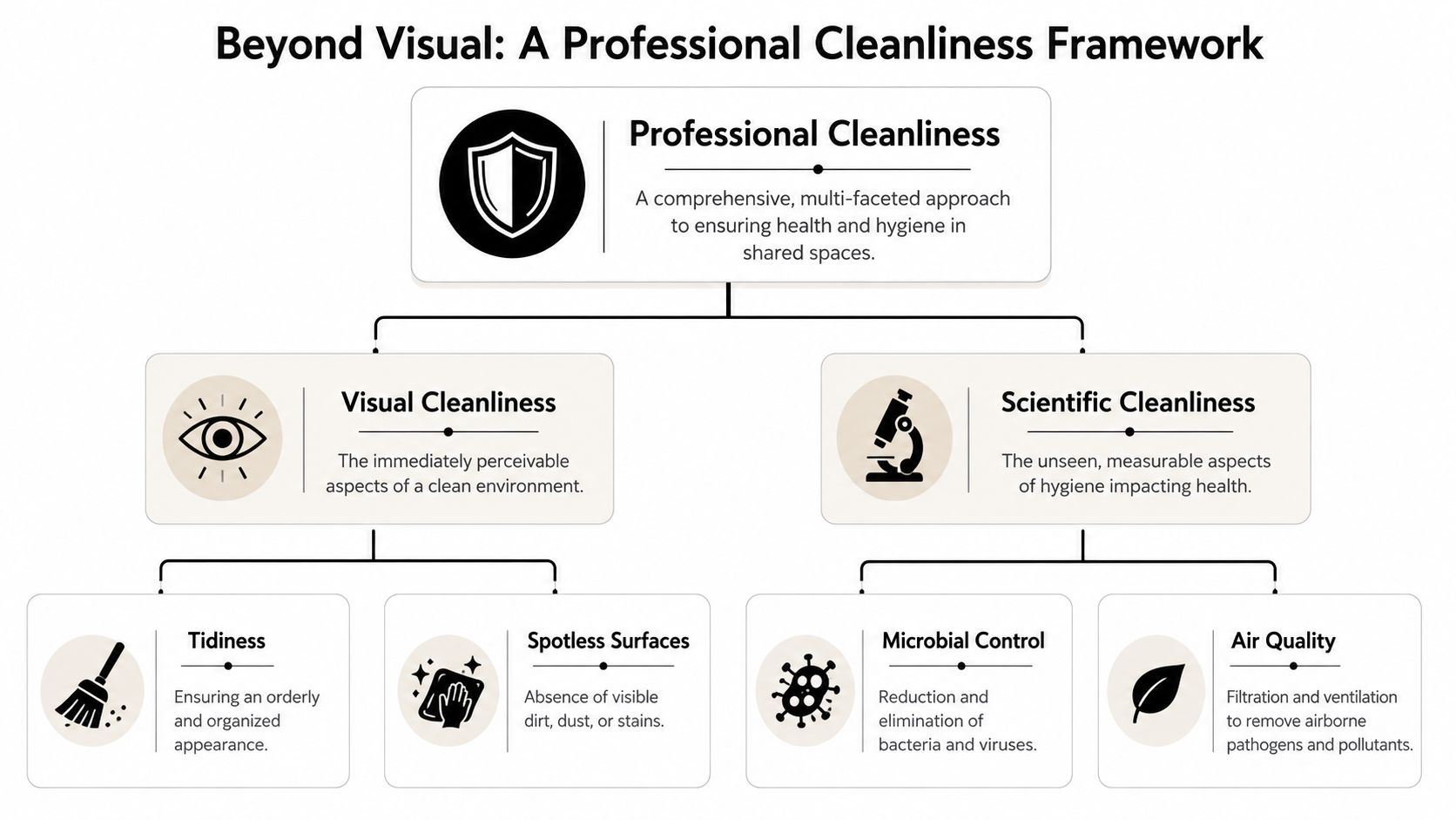 A hierarchical flowchart illustrating a framework for professional cleanliness, separating visual and scientific aspects of hygiene.